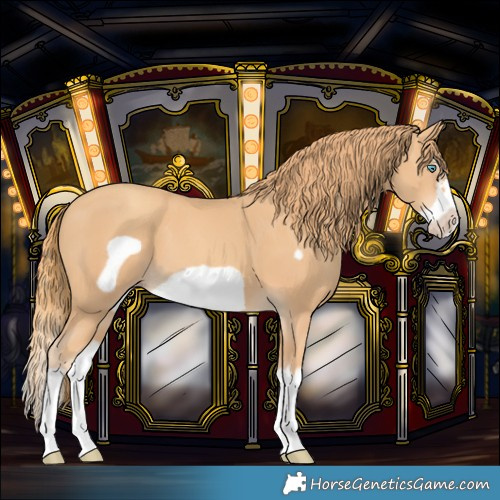 Horse Color:Gold Champagne Splash Frame 