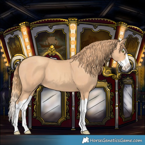 Horse Color:Gold Champagne Splash