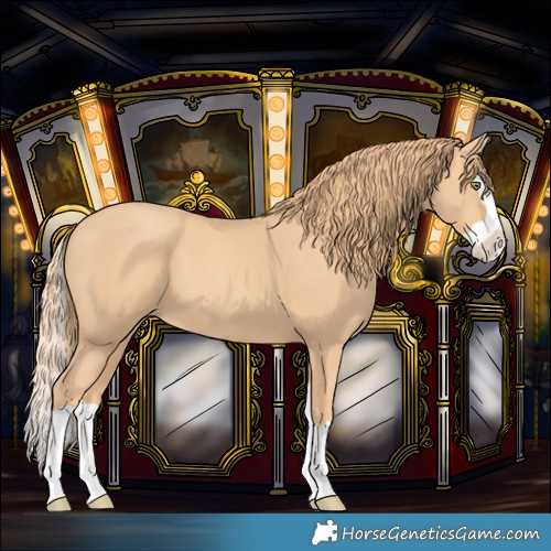 Horse Color:Gold Champagne Splash 