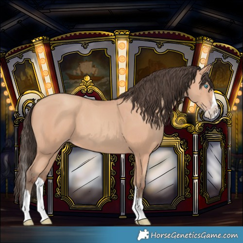 Horse Color:Amber Champagne Splash 