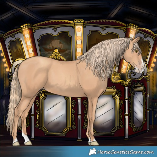 Horse Color:Gold Champagne Splash 