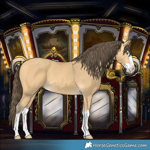 Horse Color:Amber Cream Champagne Splash 