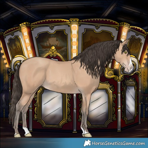 Horse Color:Amber Champagne Splash