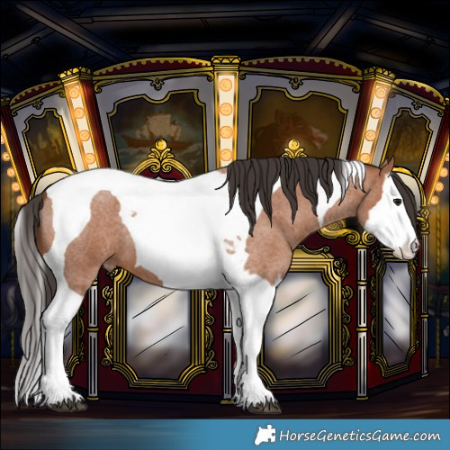 Horse Color:Bay Roan Splash Tobiano 