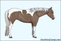 Horse Color:Silver Black Sabino Tobiano