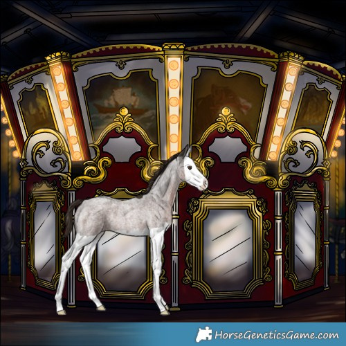 Horse Color:Liver Red Roan Splash Rabicano