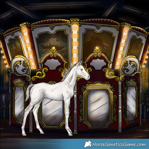 Horse Color:Cremello Roan Splash Rabicano 