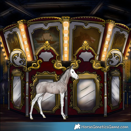 Horse Color:Liver Red Roan Splash Rabicano 