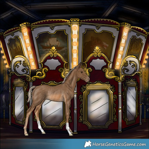 Horse Color:Chocolate Palomino Varnish Rabicano 