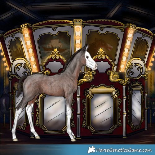 Horse Color:Liver Red Roan Splash Varnish