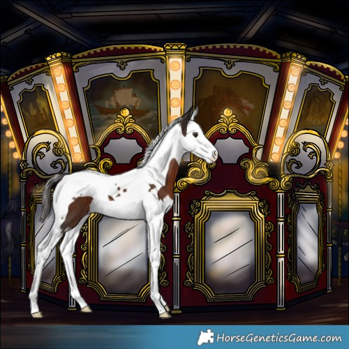 Horse Color:Liver Chestnut Splash Tobiano Varnish 