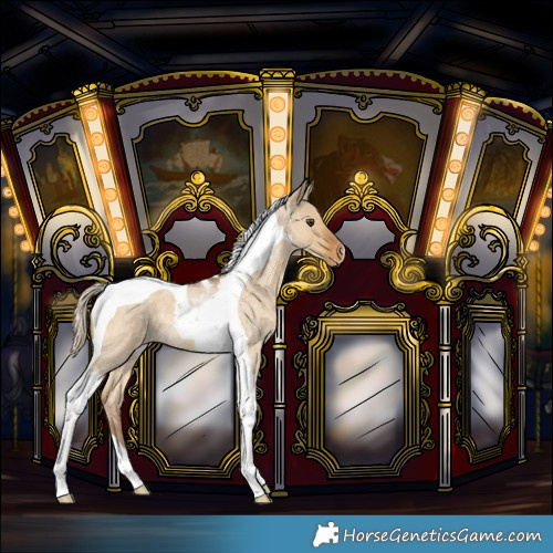 Horse Color:Chocolate Palomino Roan Dun Tobiano Varnish 