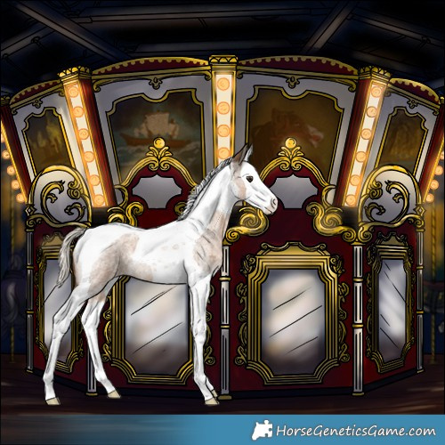 Horse Color:Chocolate Palomino Roan Splash Tobiano 