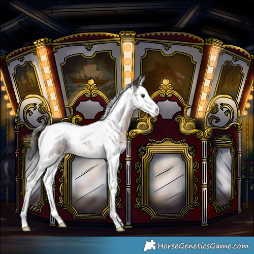Horse Color:Liver Red Roan Splash Tobiano
