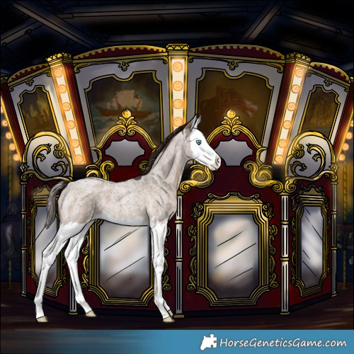 Horse Color:Liver Red Dun Roan Splash 