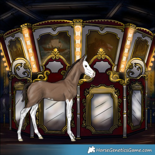 Horse Color:Liver Red Dun Splash Varnish