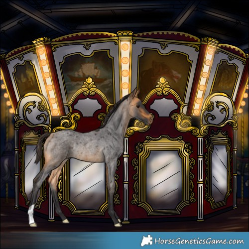 Horse Color:Buckskin Roan Rabicano