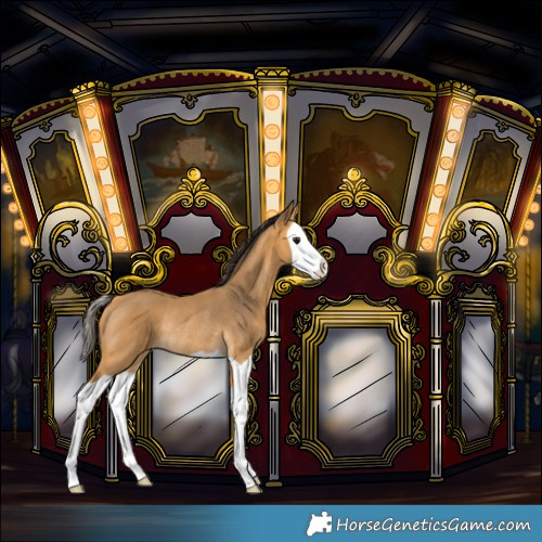 Horse Color:Buckskin Splash Rabicano