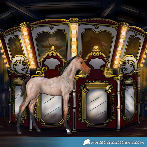 Horse Color:Bay Roan Rabicano