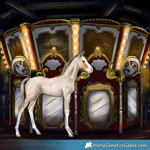 Horse Color:Palomino Roan Splash 