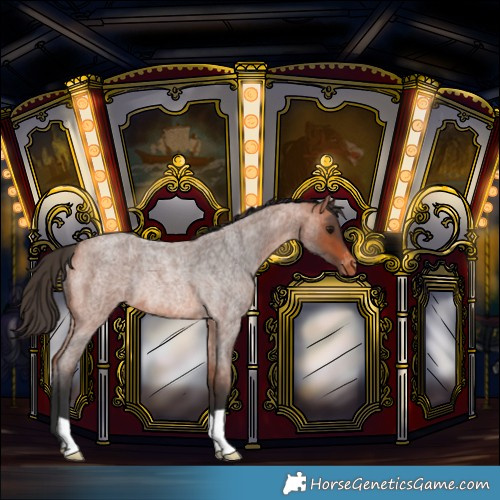 Horse Color:Bay Roan Varnish Rabicano 
