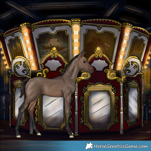 Horse Color:Brown Dun
