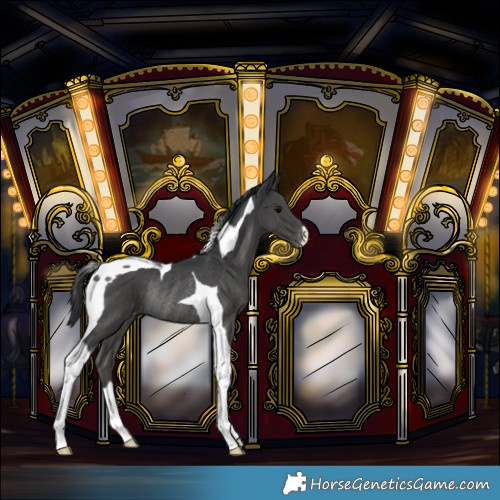 Horse Color:Black Tobiano Varnish Rabicano