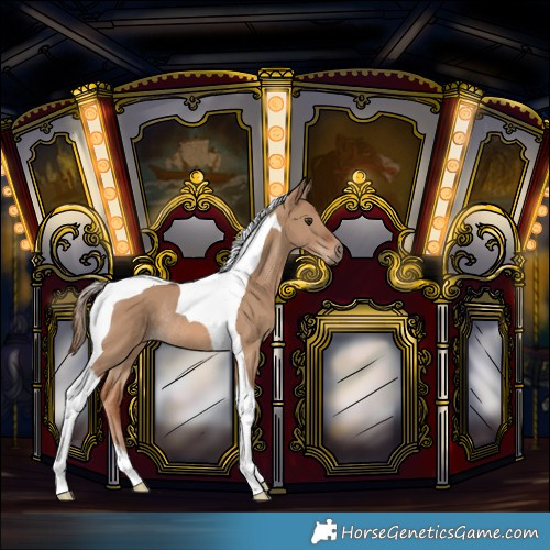 Horse Color:Red Dun Tobiano Rabicano 