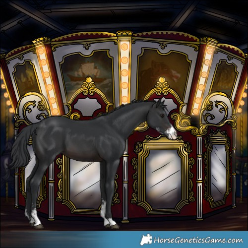 Horse Color:Brown Sabino 