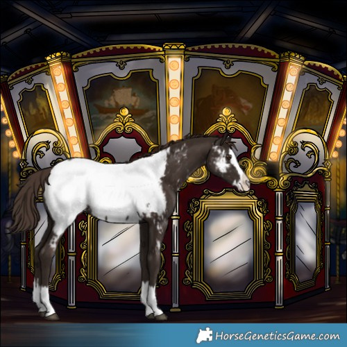 Horse Color:Liver Chestnut Splash Near Fewspot 