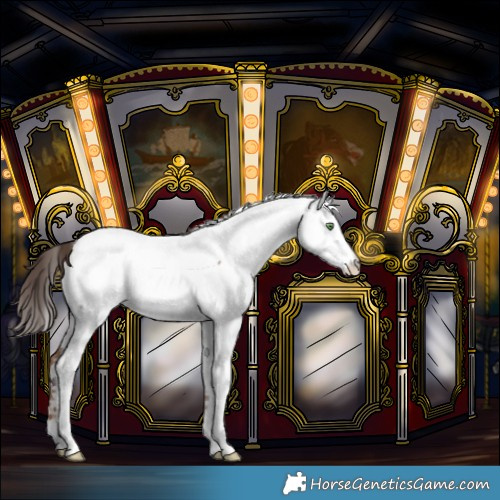 Horse Color:Sable Champagne Fewspot 