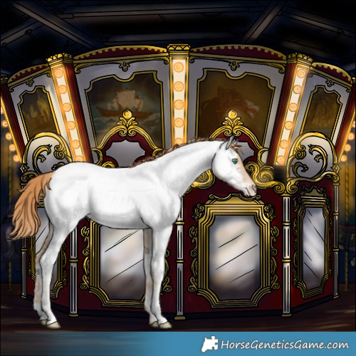 Horse Color:Smoky Blue Roan Pearl Near Fewspot 