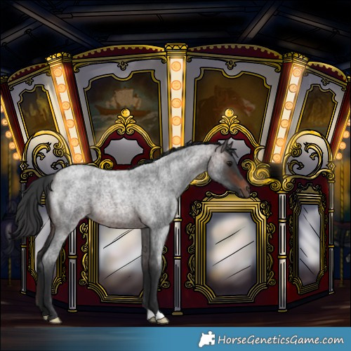 Horse Color:Brown Roan