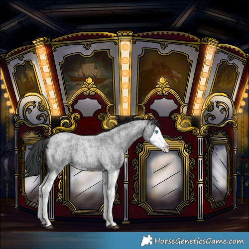 Horse Color:Blue Roan Splash 