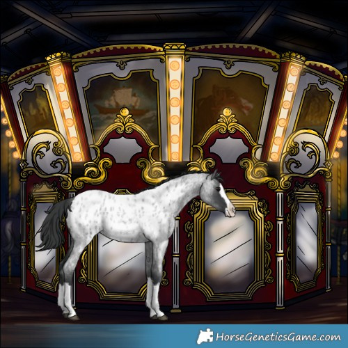 Horse Color:Blue Roan Splash Near Leopard 