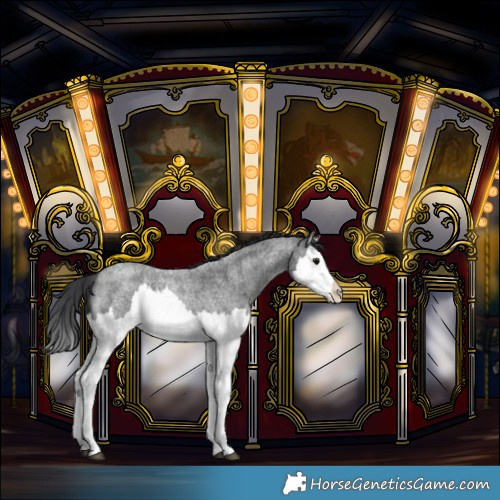 Horse Color:Blue Roan Splash