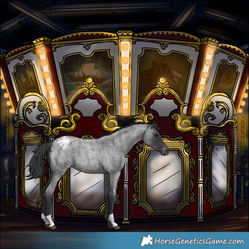 Horse Color:Blue Roan Varnish