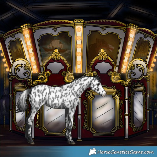 Horse Color:Blue Roan Leopard