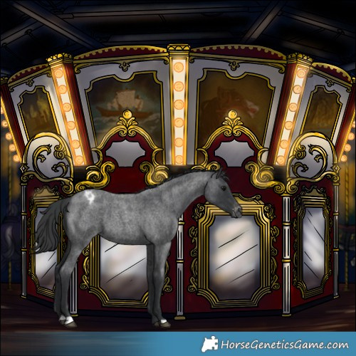 Horse Color:Blue Roan Varnish 