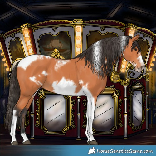 Horse Color:Bay Tobiano Frame 