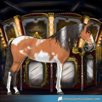 Horse Color:Bay Tobiano Frame