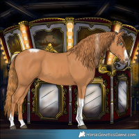Horse Color:Chestnut Tobiano Frame 