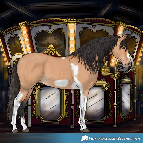 Horse Color:Bay Dun Tobiano Frame