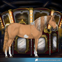 Horse Color:Chestnut Tobiano Frame 