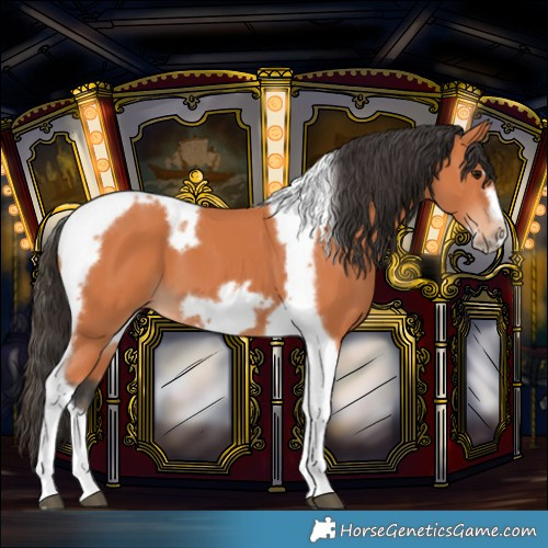 Horse Color:Bay Tobiano Frame 