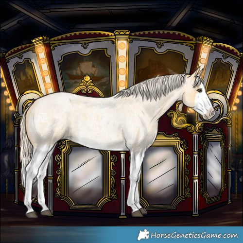 Horse Color:Palomino Roan Splash 