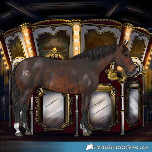 Horse Color:Black  and Brown 