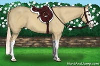 Horse Color:Palomino Roan Dun Splash