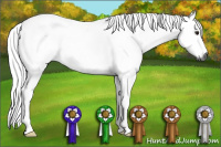 Horse Color:Gray Silver Bay Tobiano
