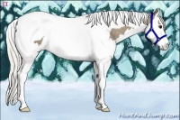 Horse Color:Silver Smoky Grullo Splash Tobiano Rabicano